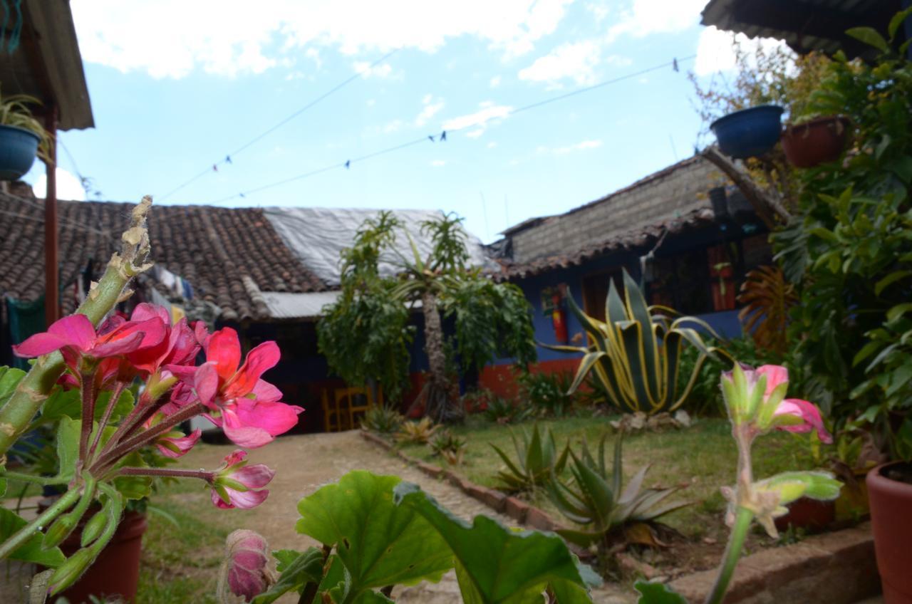 Hostal El Rincón de los Camellos San Cristóbal de Las Casas Exterior foto