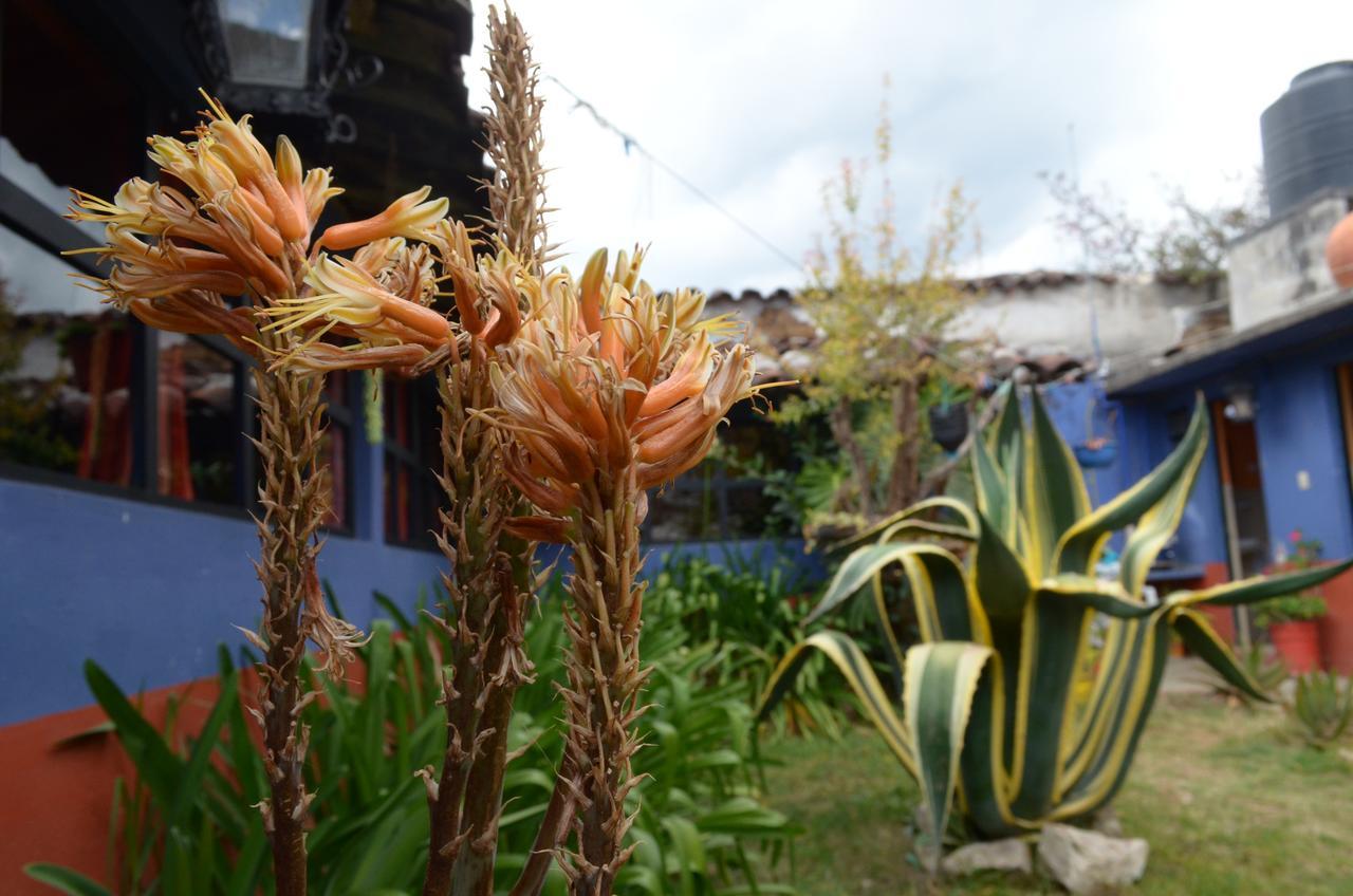 Hostal El Rincón de los Camellos San Cristóbal de Las Casas Exterior foto