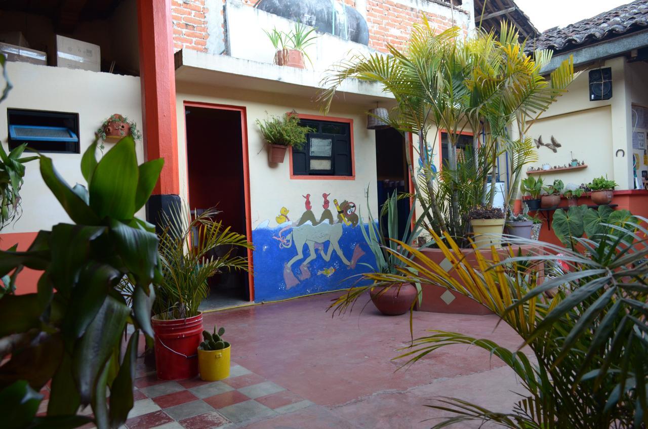 Hostal El Rincón de los Camellos San Cristóbal de Las Casas Exterior foto