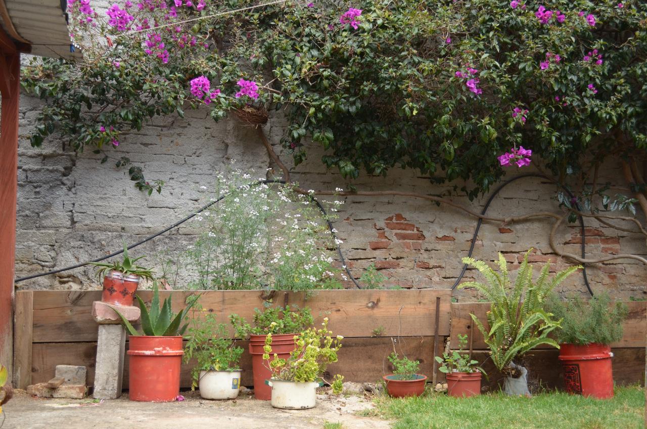 Hostal El Rincón de los Camellos San Cristóbal de Las Casas Exterior foto