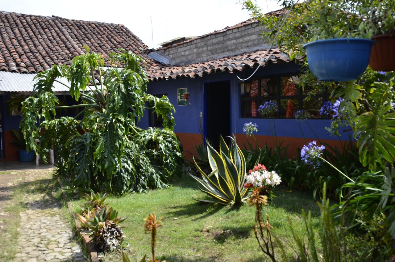Hostal El Rincón de los Camellos San Cristóbal de Las Casas Exterior foto