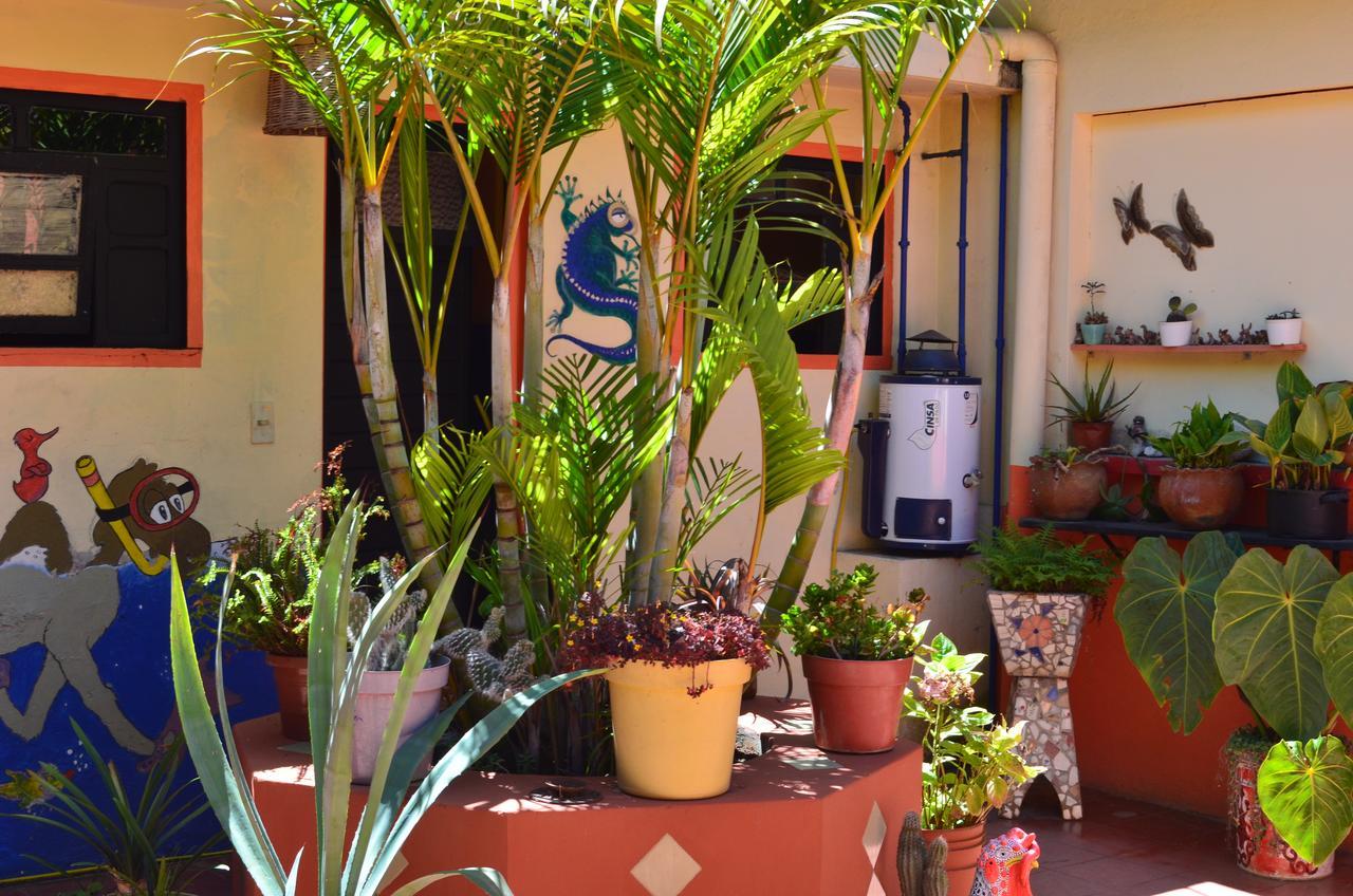 Hostal El Rincón de los Camellos San Cristóbal de Las Casas Exterior foto