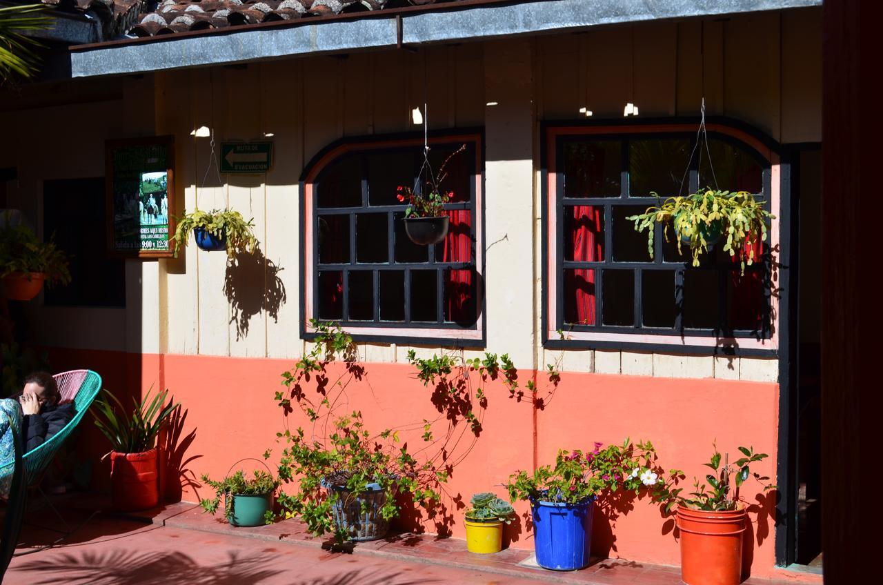 Hostal El Rincón de los Camellos San Cristóbal de Las Casas Exterior foto