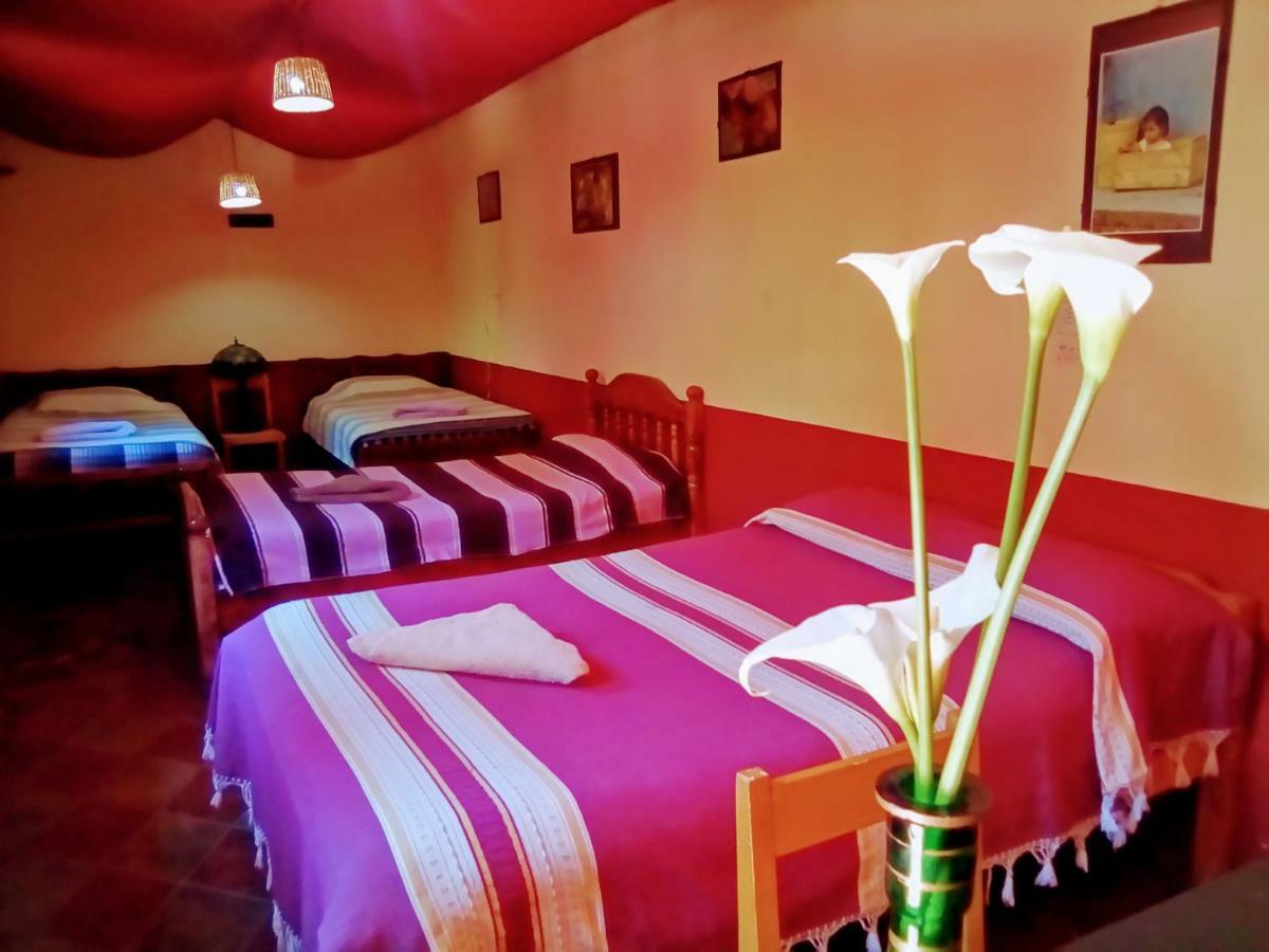 Hostal El Rincón de los Camellos San Cristóbal de Las Casas Exterior foto